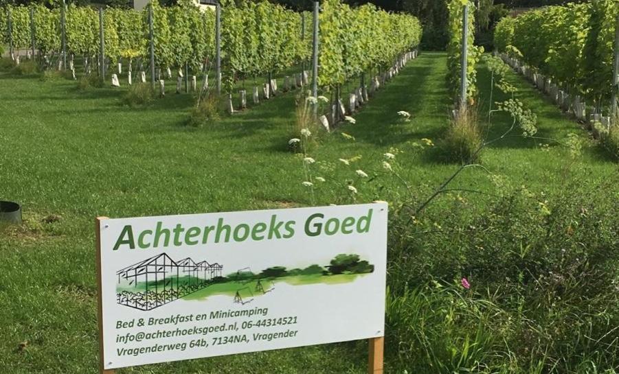 Achterhoeks Goed, Minicamping In Vragender Exteriör bild